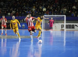 Кубок Лібертадорес: «Магнус» прогнозовано став володарем трофею + ВІДЕО