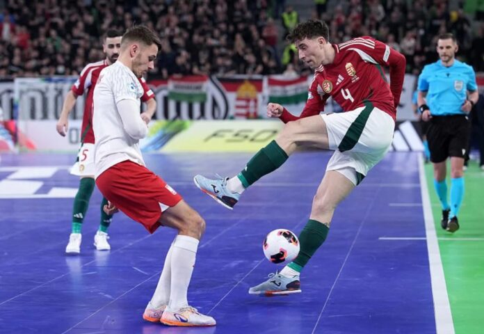 Угорщина - Польща