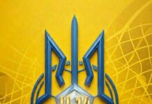 Кубок Комітету ДЮФ АФУ (U-14): майже ідеальний турнір для «Чорного моря»